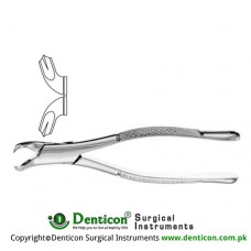 Woodward American Pattern Tooth Extracting Forcep Fig. 3FS (For Lower Molars) Stainless Steel, Standard